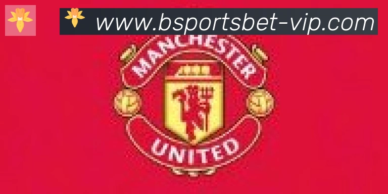 Bsports官网合作伙伴